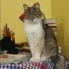 Отзыв от Василиса Горячева